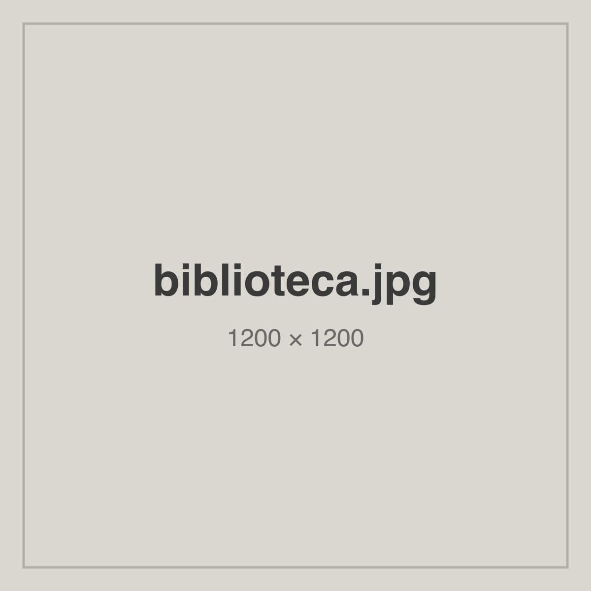 Chapas de pedra da biblioteca da PedrIA